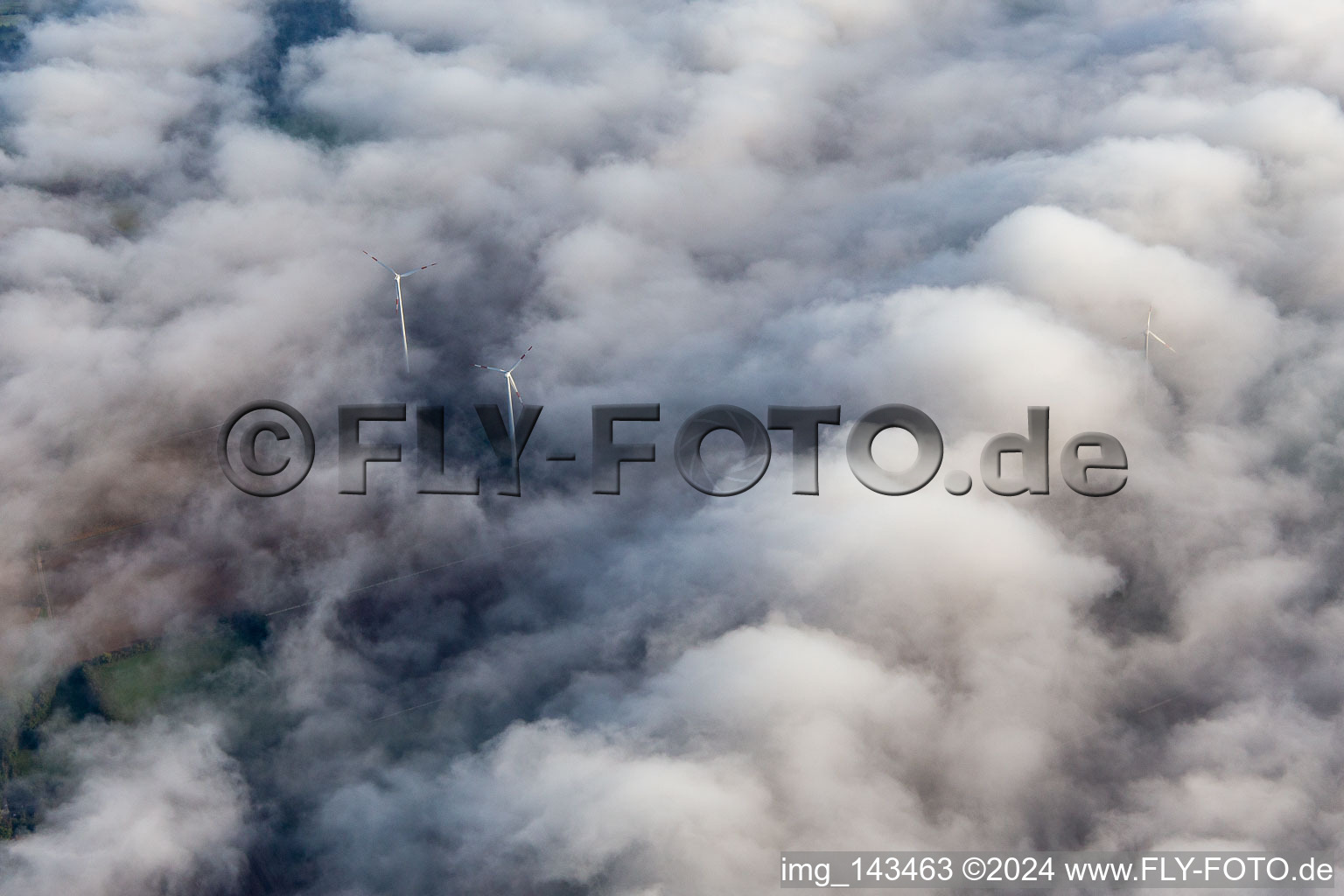 Wind farm at Minfeld partly in clouds in Minfeld in the state Rhineland-Palatinate, Germany from above
