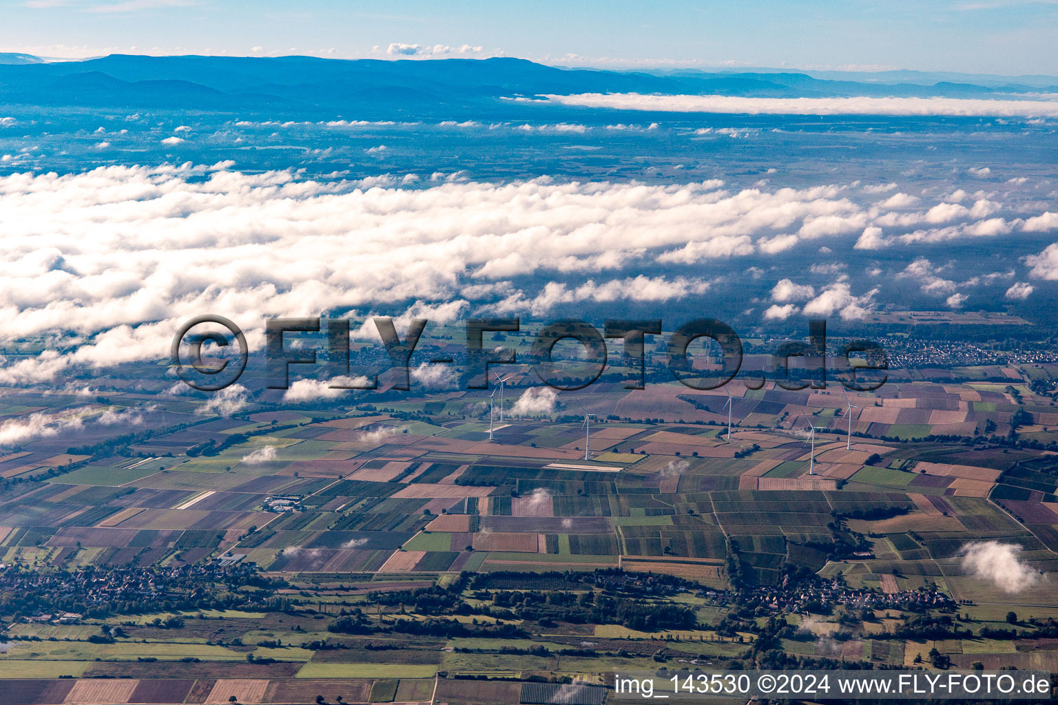 Wind farm near Freckenfeld in Hergersweiler in the state Rhineland-Palatinate, Germany