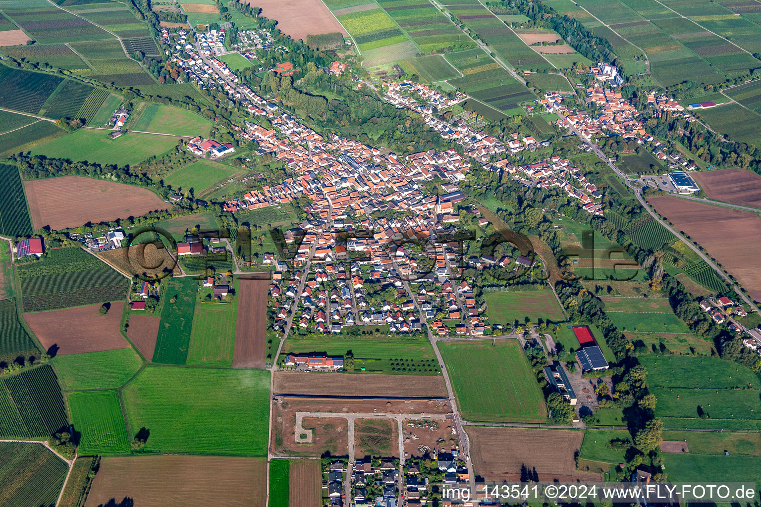 Town from the east in the district Ingenheim in Billigheim-Ingenheim in the state Rhineland-Palatinate, Germany