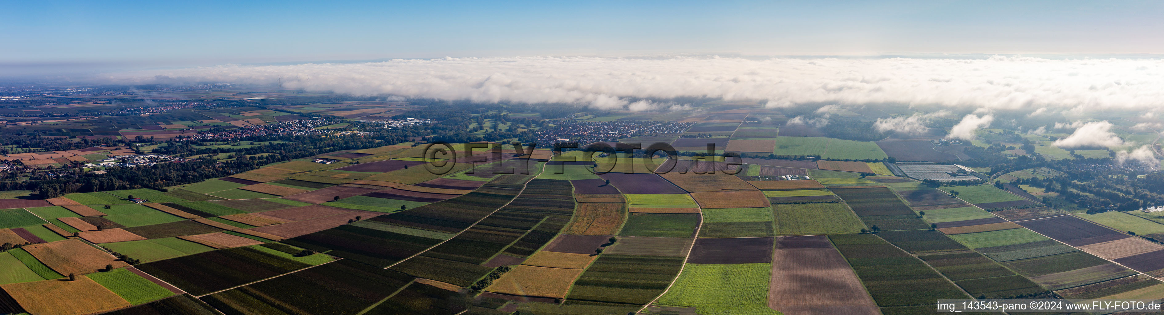 Panorama Tiefental in Billigheim-Ingenheim in the state Rhineland-Palatinate, Germany