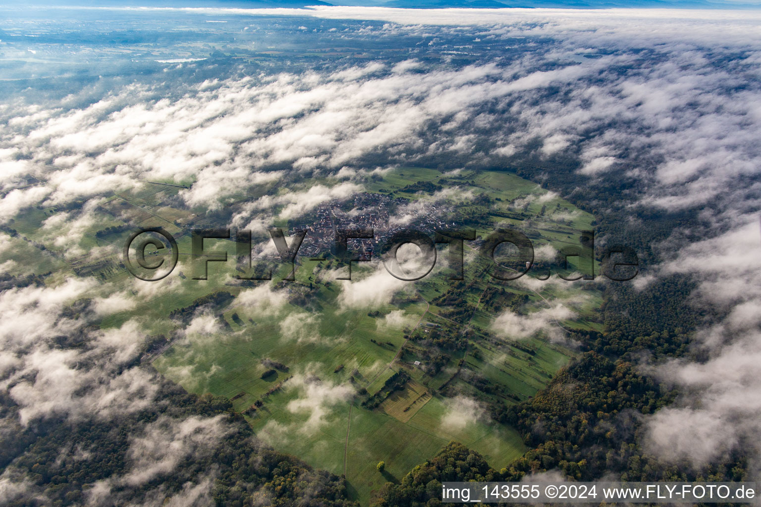 An island in the Bienwald under clouds in the district Büchelberg in Wörth am Rhein in the state Rhineland-Palatinate, Germany