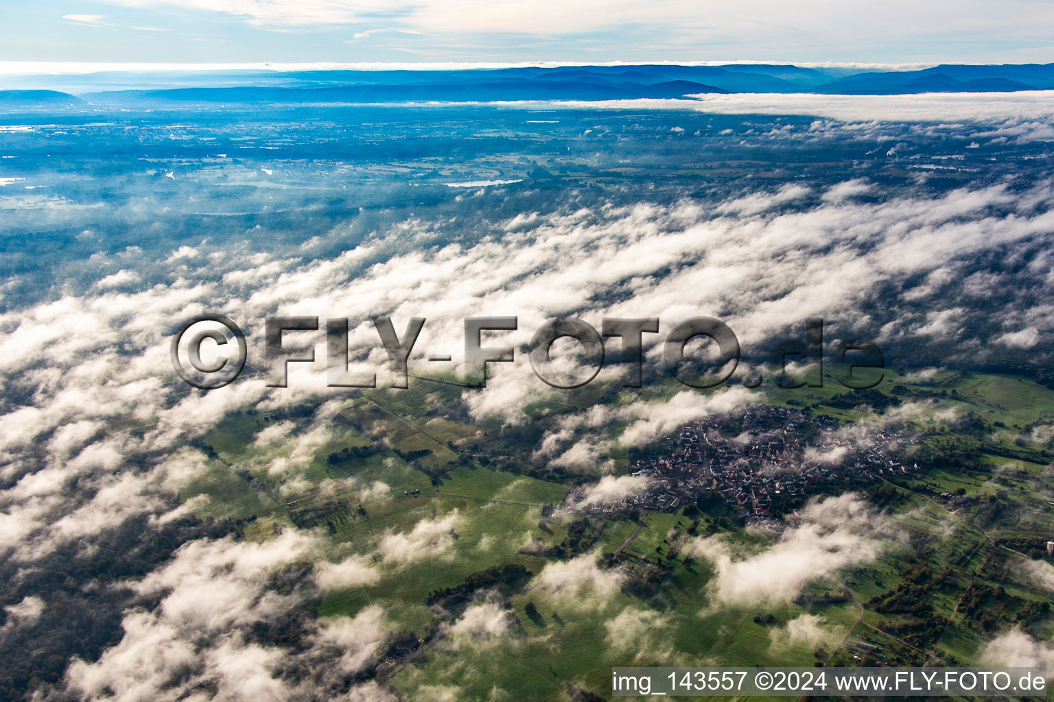 Aerial view of An island in the Bienwald under clouds in the district Büchelberg in Wörth am Rhein in the state Rhineland-Palatinate, Germany
