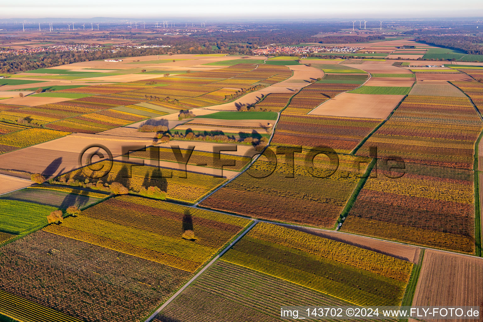 Aerial view of Vineyards of the southern Wienstraße in autumn leaves in the district Mühlhofen in Billigheim-Ingenheim in the state Rhineland-Palatinate, Germany