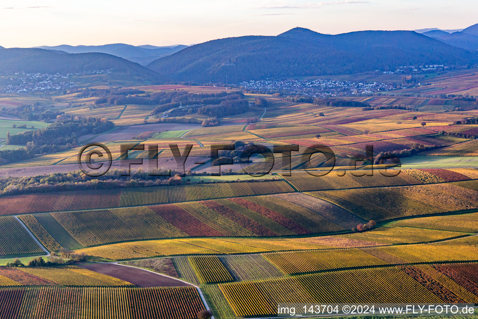 Vineyards of the southern Wienstraße in autumn leaves in the district Ingenheim in Billigheim-Ingenheim in the state Rhineland-Palatinate, Germany from above