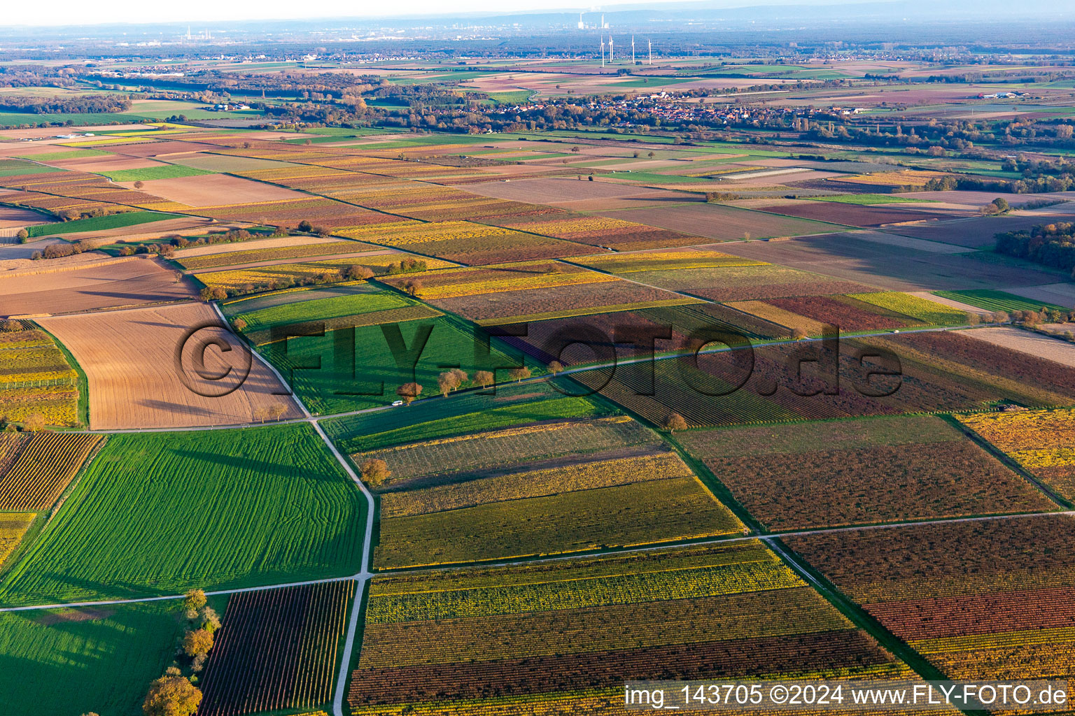 Vineyards of the southern Wienstraße in autumn leaves in the district Ingenheim in Billigheim-Ingenheim in the state Rhineland-Palatinate, Germany out of the air