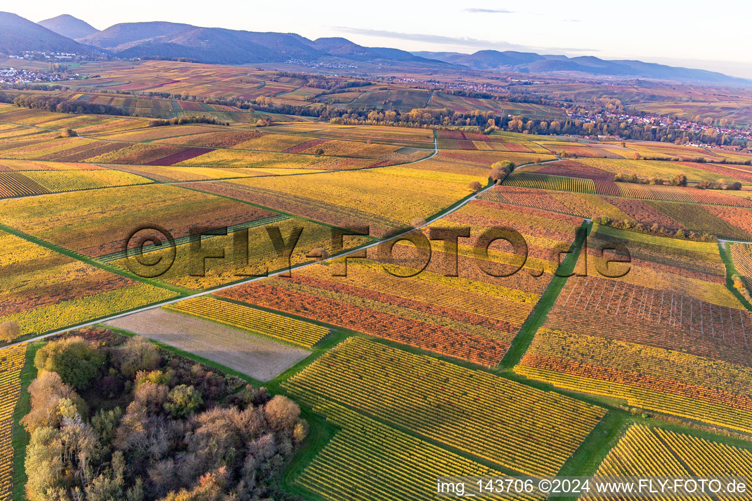 Vineyards of the southern Wienstraße in autumn leaves in the district Klingen in Heuchelheim-Klingen in the state Rhineland-Palatinate, Germany