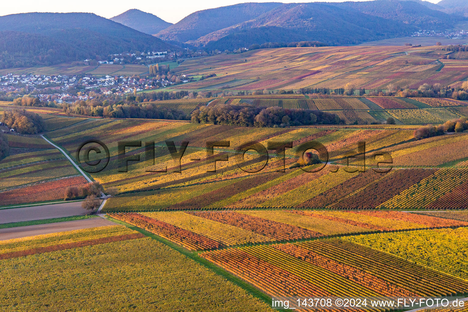 Aerial photograpy of Vineyards of the southern Wienstraße in autumn leaves in the district Klingen in Heuchelheim-Klingen in the state Rhineland-Palatinate, Germany