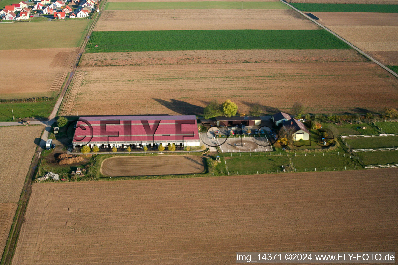 Foal farm in Steinweiler in the state Rhineland-Palatinate, Germany