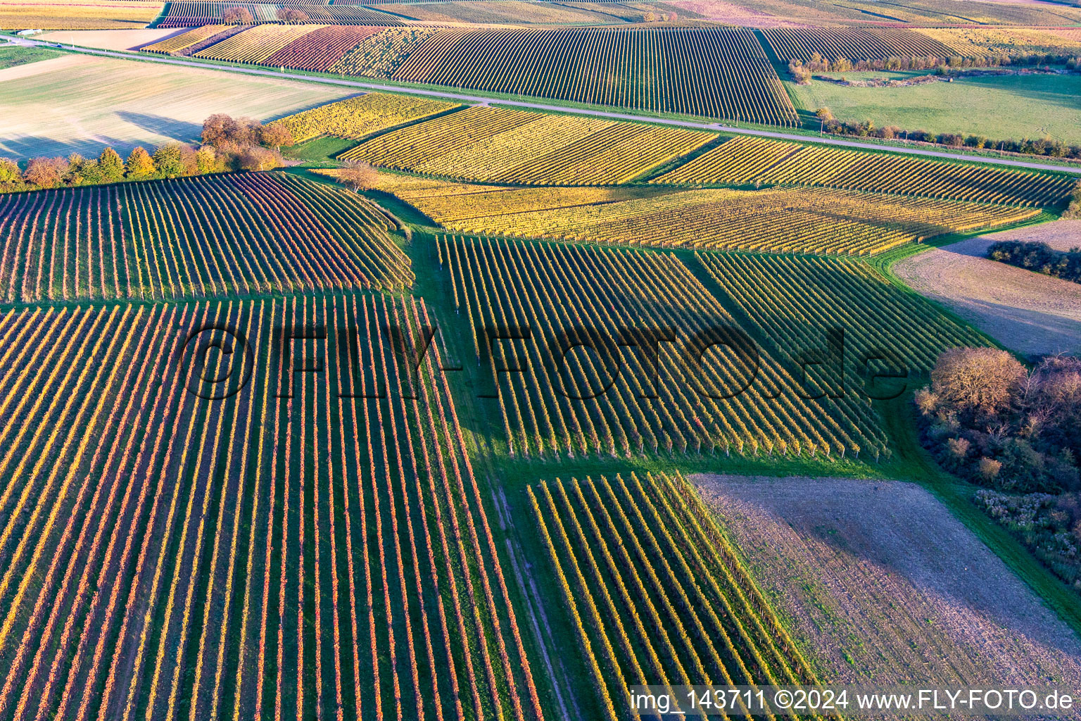 Vineyards of the southern Wienstraße in autumn leaves in the district Ingenheim in Billigheim-Ingenheim in the state Rhineland-Palatinate, Germany seen from above