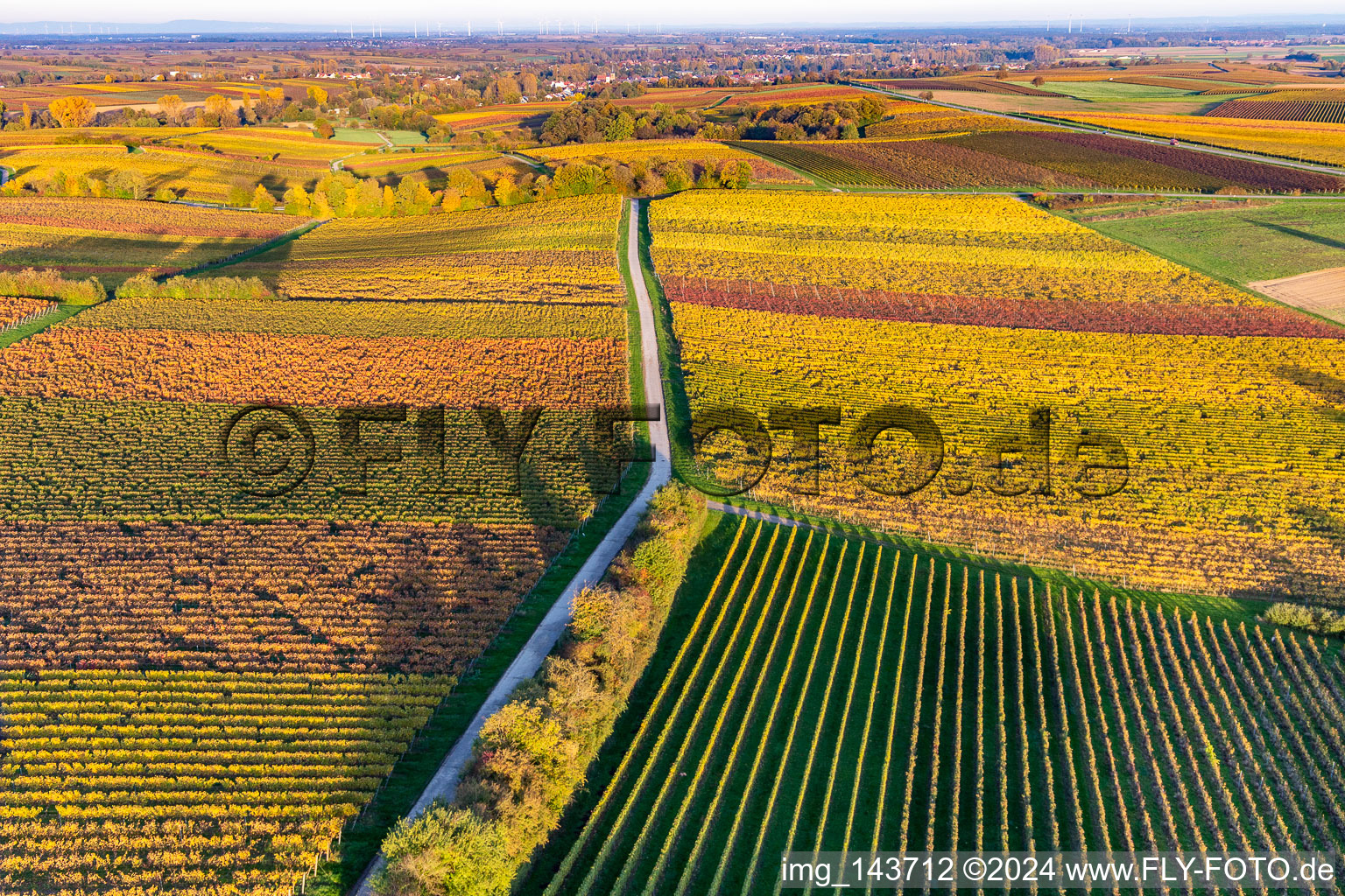 Vineyards of the southern Wienstraße in autumn leaves in the district Klingen in Heuchelheim-Klingen in the state Rhineland-Palatinate, Germany out of the air