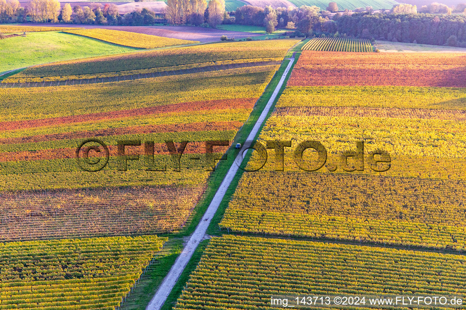 Vineyards of the southern Wienstraße in autumn leaves in the district Klingen in Heuchelheim-Klingen in the state Rhineland-Palatinate, Germany seen from above