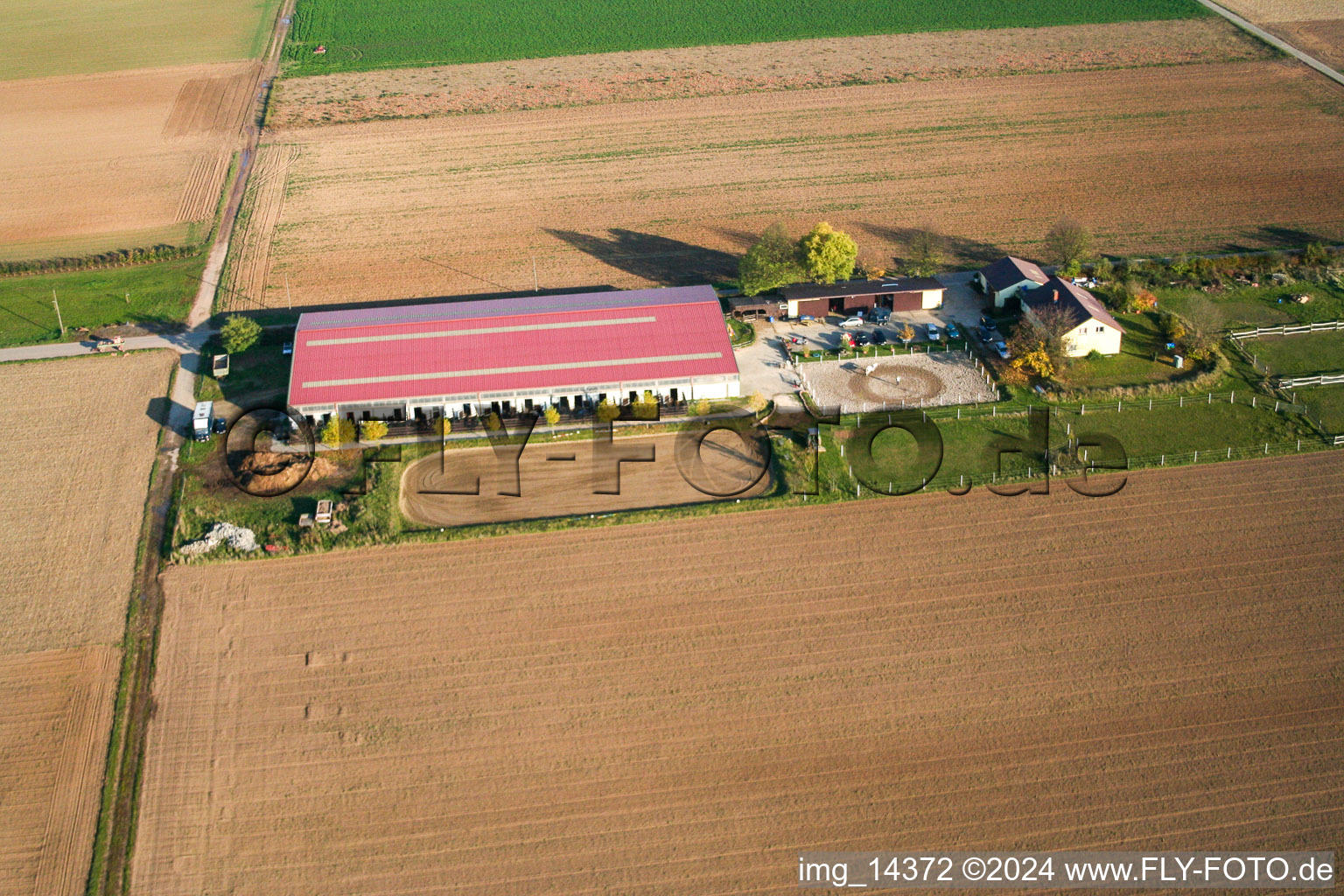 Aerial view of Foal yard in Steinweiler in the state Rhineland-Palatinate, Germany