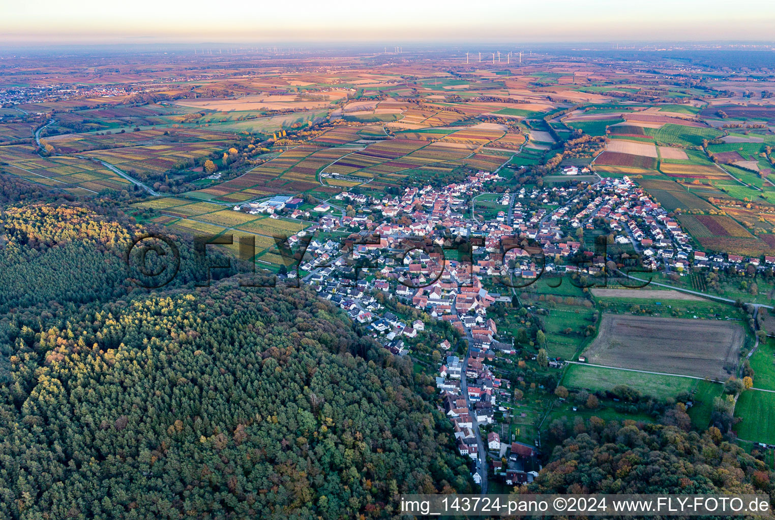 District Rechtenbach in Schweigen-Rechtenbach in the state Rhineland-Palatinate, Germany out of the air