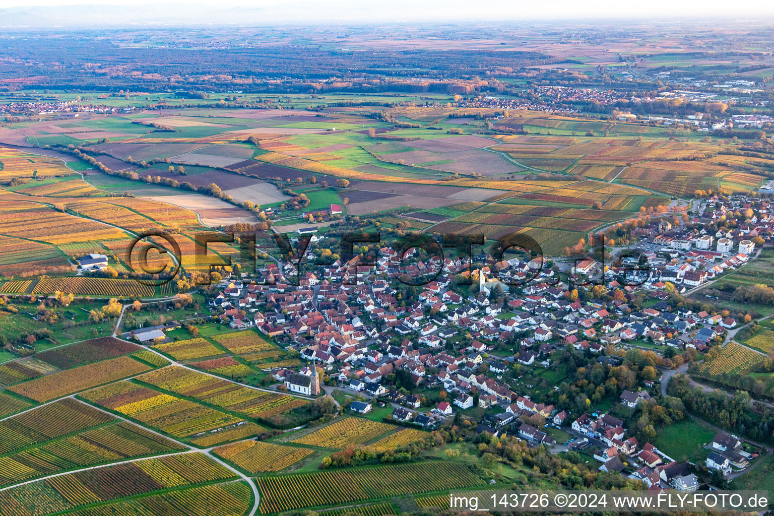 Village from the northwest in autumn leaves in the district Rechtenbach in Schweigen-Rechtenbach in the state Rhineland-Palatinate, Germany
