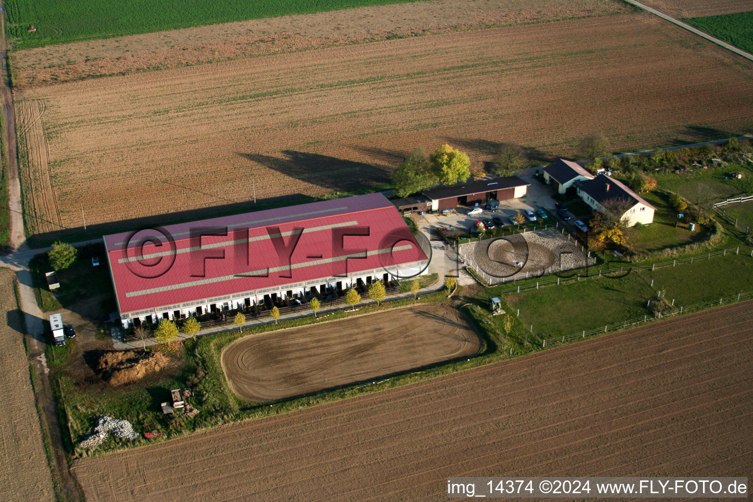 Oblique view of Foal farm in Steinweiler in the state Rhineland-Palatinate, Germany