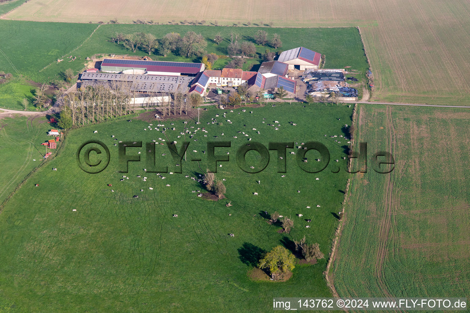 Karleskind Guy Farm in Gros-Réderching in the state Moselle, France