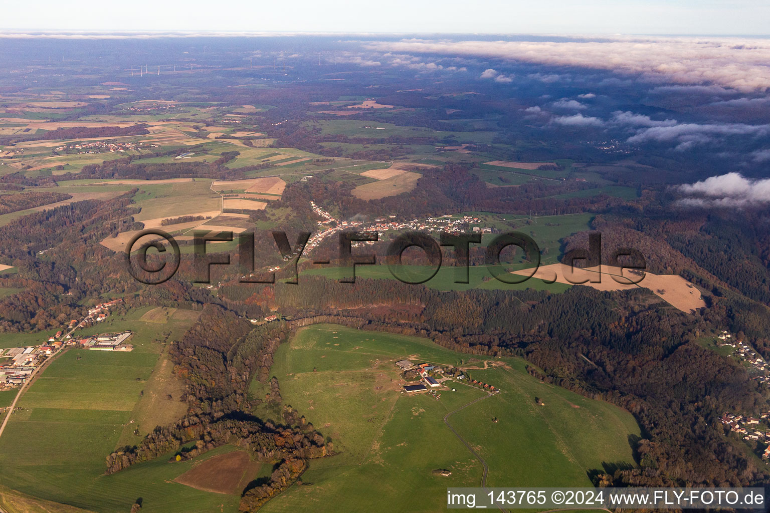 Bison Ranch in Petit-Réderching in the state Moselle, France