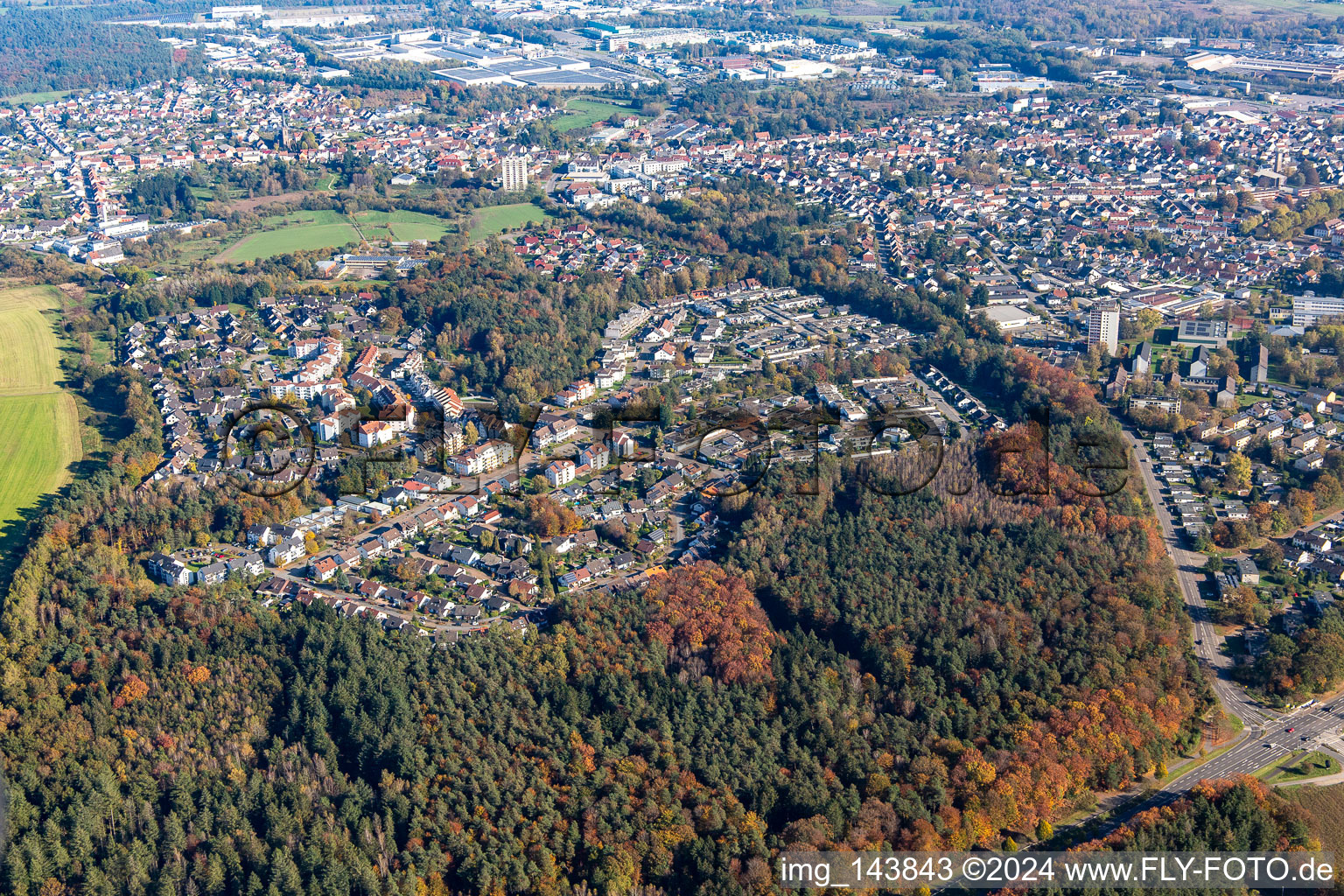 Village in the forest from the west in the district Erbach in Homburg in the state Saarland, Germany