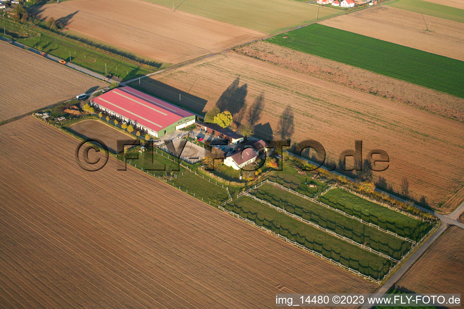 Foal yard in Steinweiler in the state Rhineland-Palatinate, Germany from above