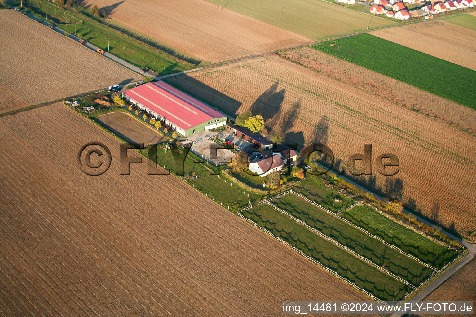 Foal farm in Steinweiler in the state Rhineland-Palatinate, Germany out of the air