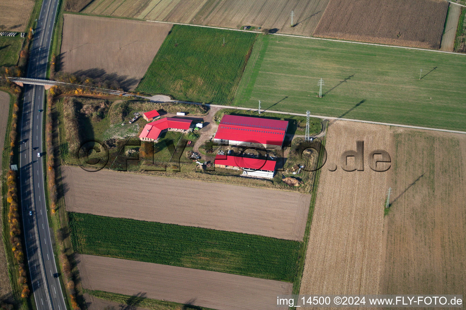 Chicken farm egg farm in Erlenbach bei Kandel in the state Rhineland-Palatinate, Germany seen from above