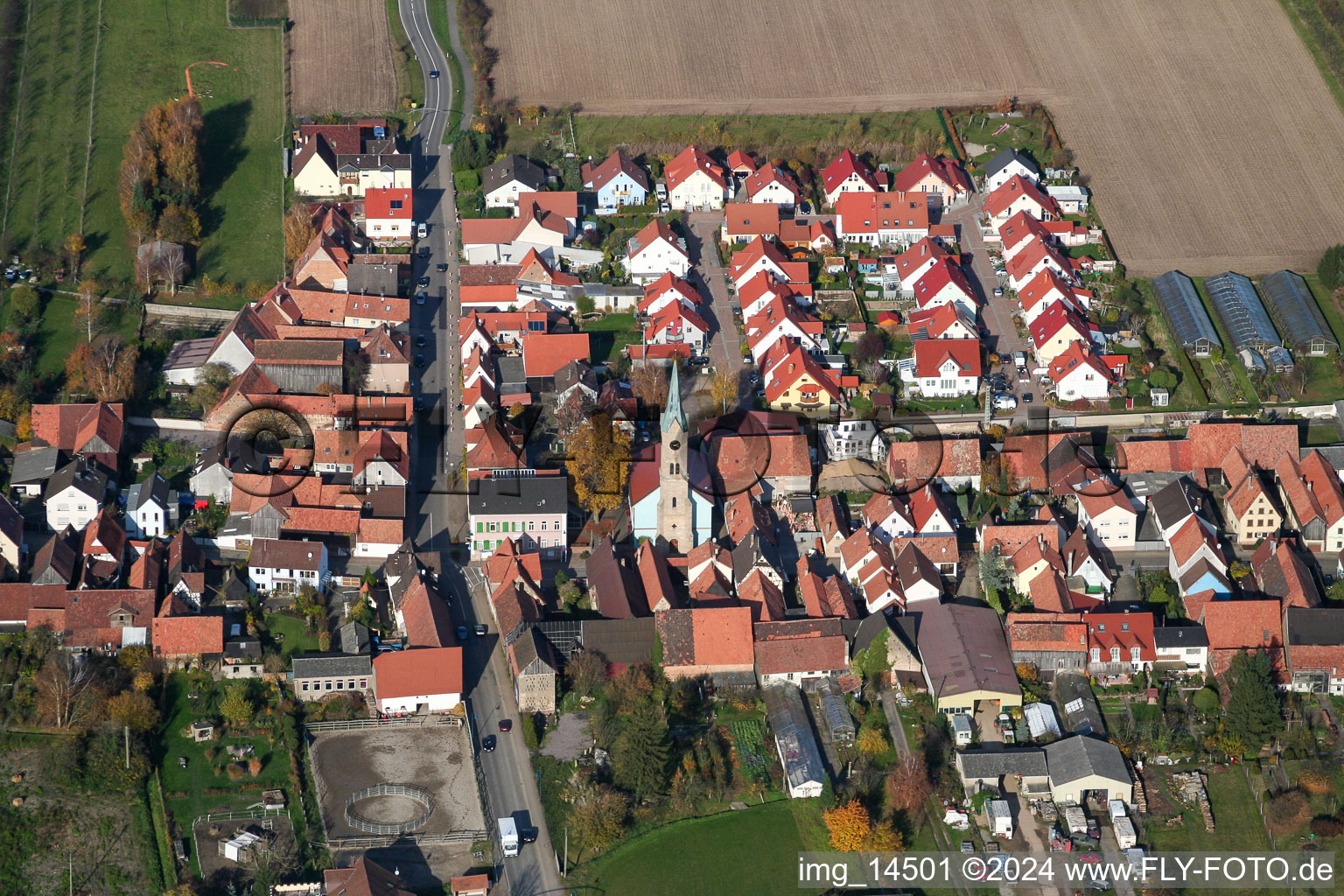 Village view in Erlenbach bei Kandel in the state Rhineland-Palatinate, Germany