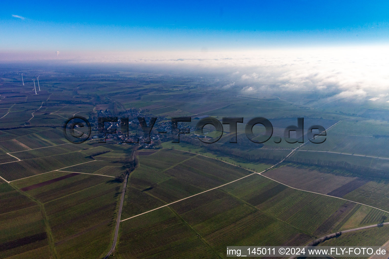 Bienwald under clouds in Dierbach in the state Rhineland-Palatinate, Germany