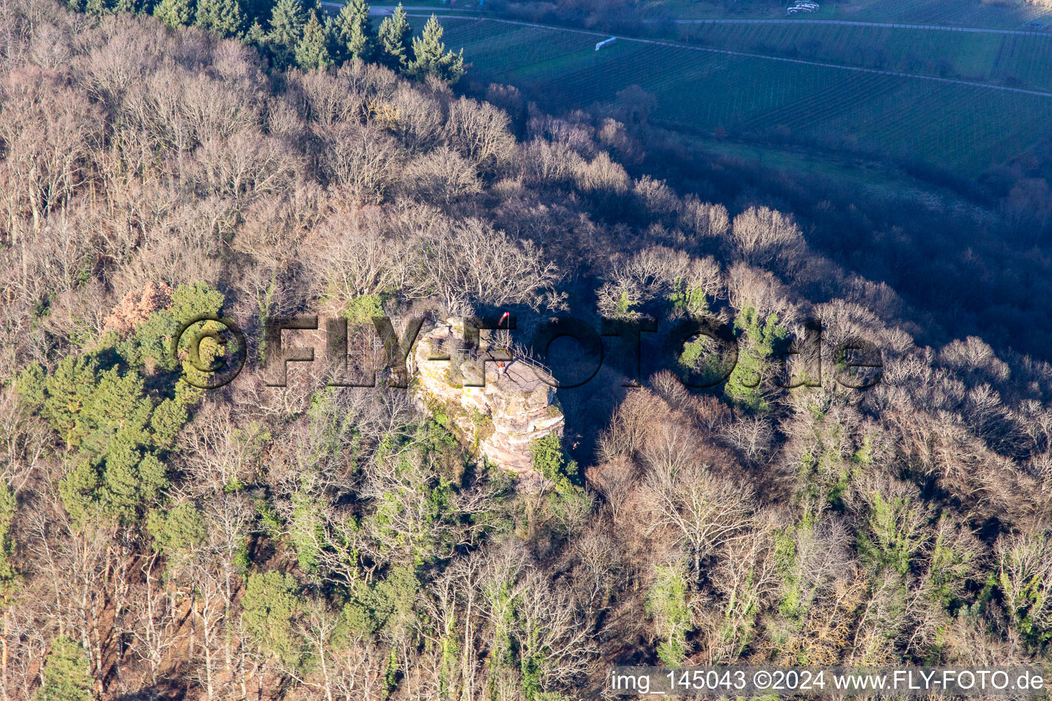 Neukastell Castle Ruins in Leinsweiler in the state Rhineland-Palatinate, Germany