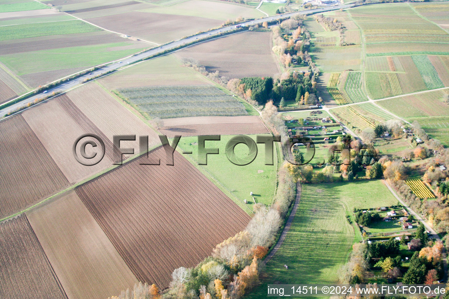 At the fisherman's hut in Insheim in the state Rhineland-Palatinate, Germany from above