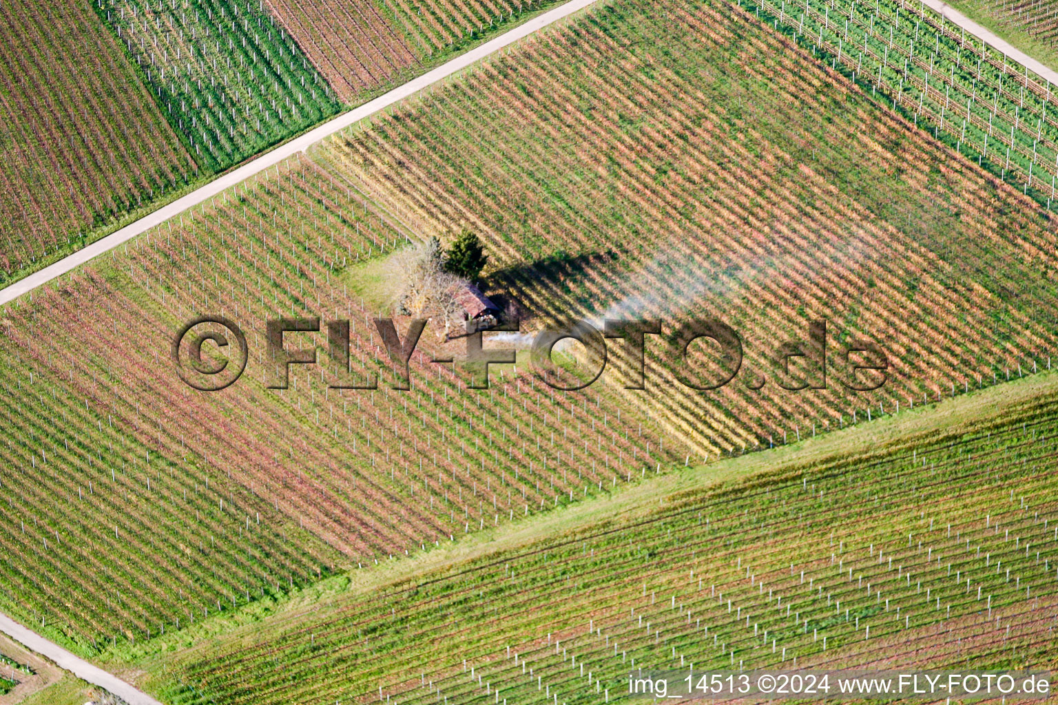 Oblique view of Insheim in the state Rhineland-Palatinate, Germany