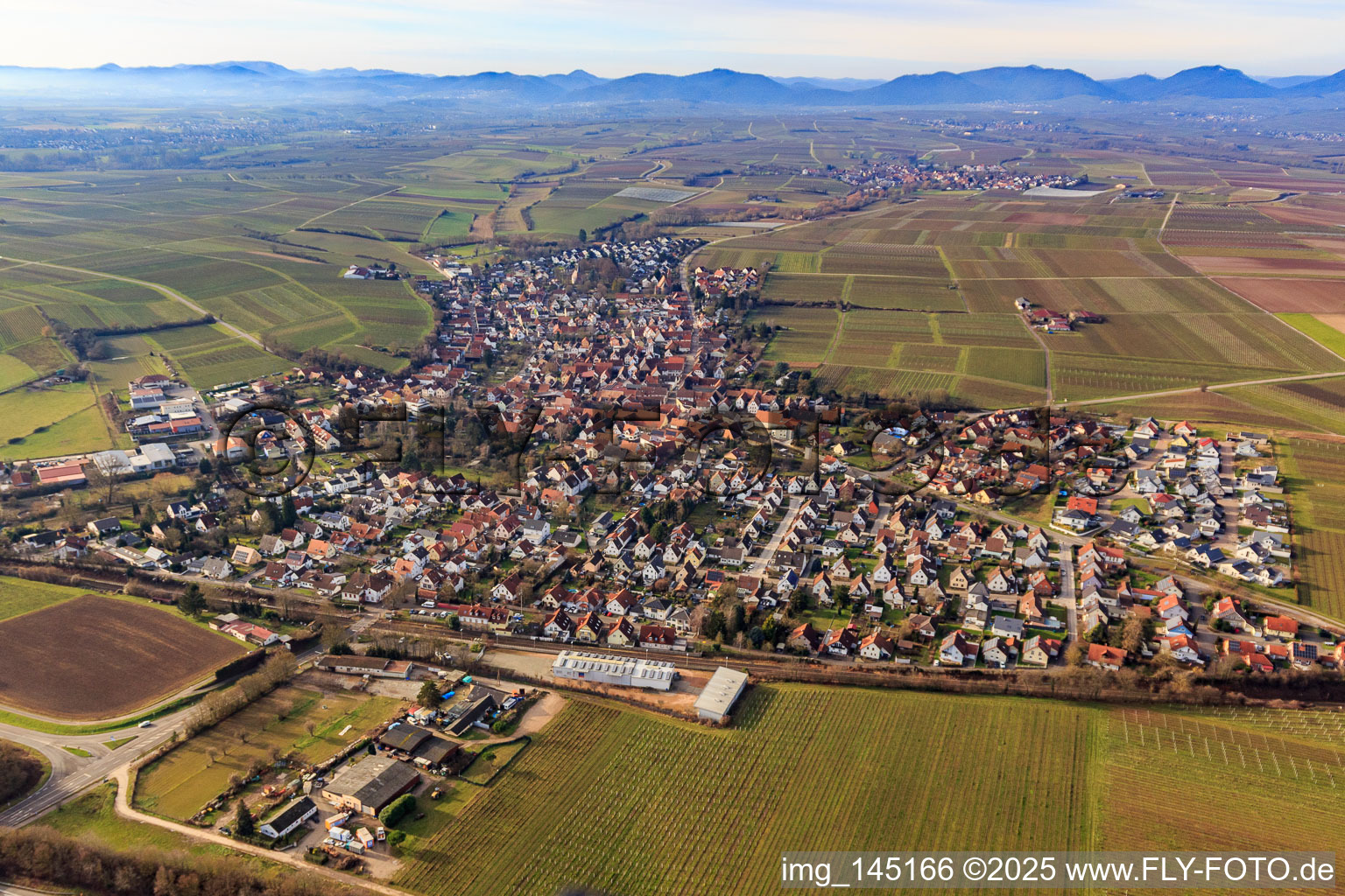 View of the town from the east in Insheim in the state Rhineland-Palatinate, Germany