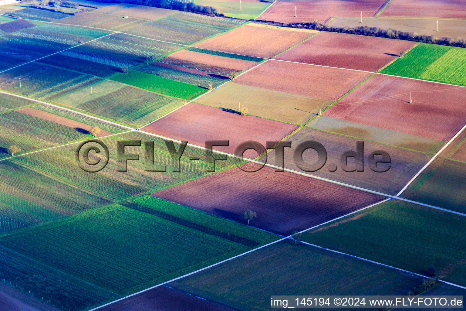 Fields and vineyards in winter in Rohrbach in the state Rhineland-Palatinate, Germany