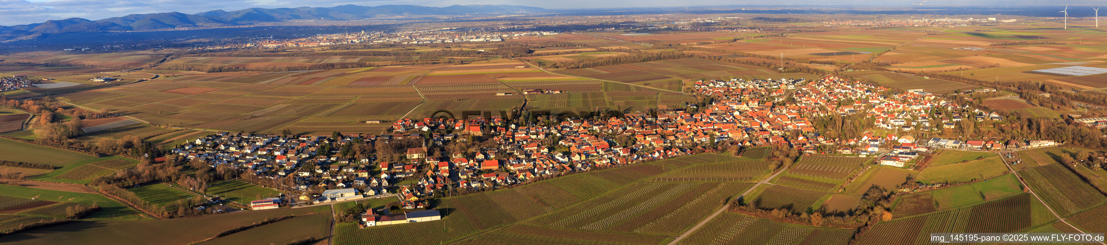 View of the town from the south in Insheim in the state Rhineland-Palatinate, Germany