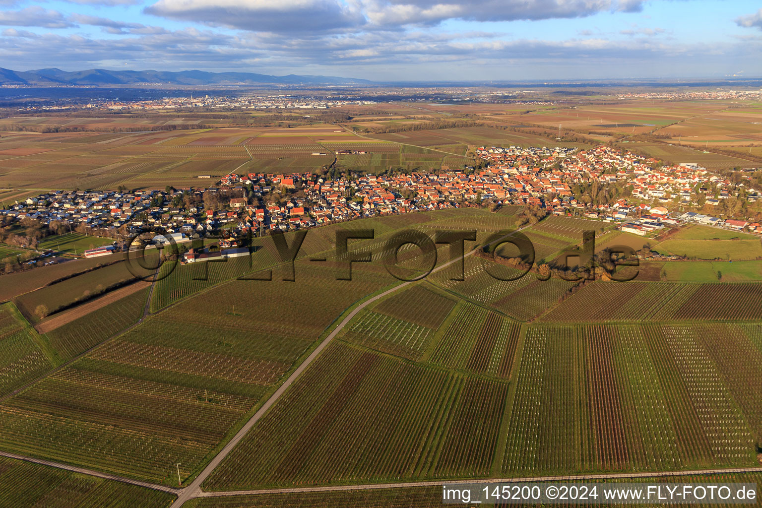 Aerial view of View of the town from the south in Insheim in the state Rhineland-Palatinate, Germany