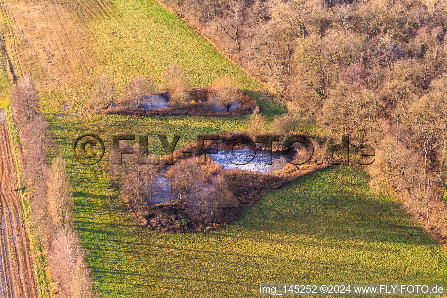 Biotope at Altbach in the district Minderslachen in Kandel in the state Rhineland-Palatinate, Germany