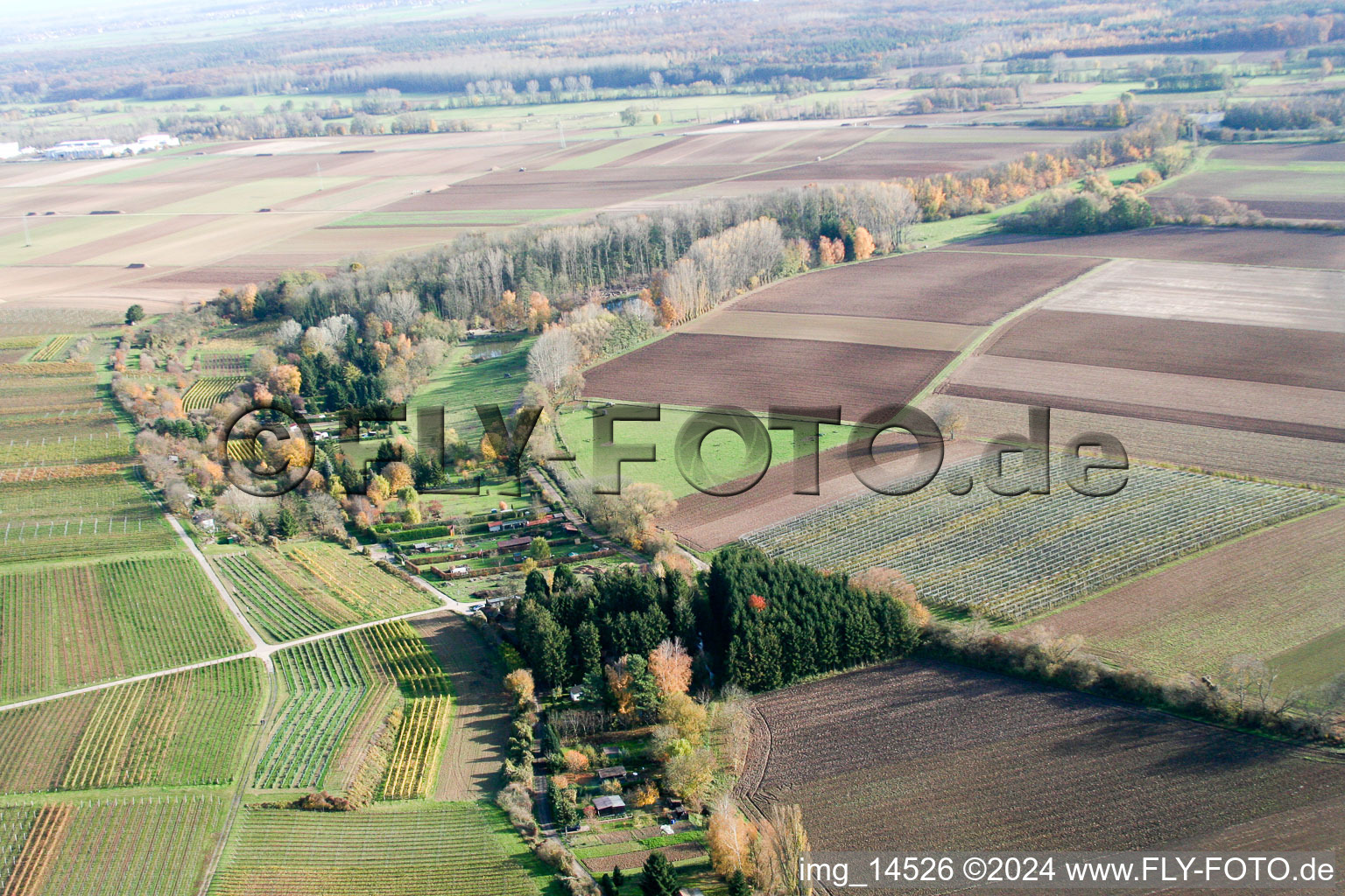 Bird's eye view of At the fisherman's hut in Insheim in the state Rhineland-Palatinate, Germany