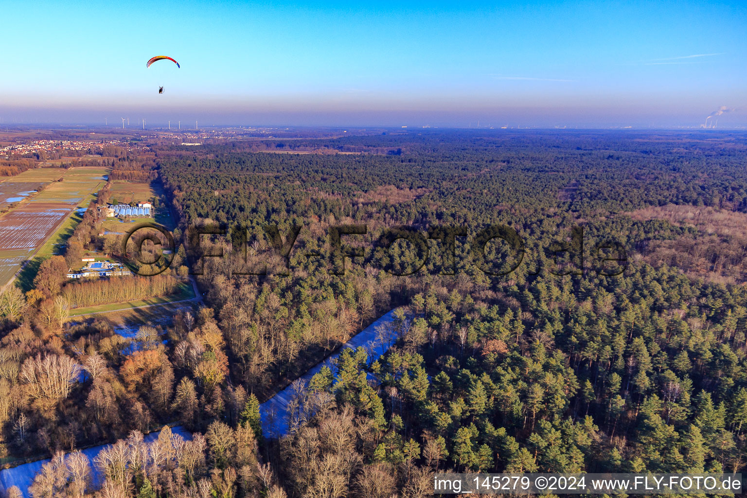 Frozen fish ponds on the edge of the Bienwald in Steinfeld in the state Rhineland-Palatinate, Germany