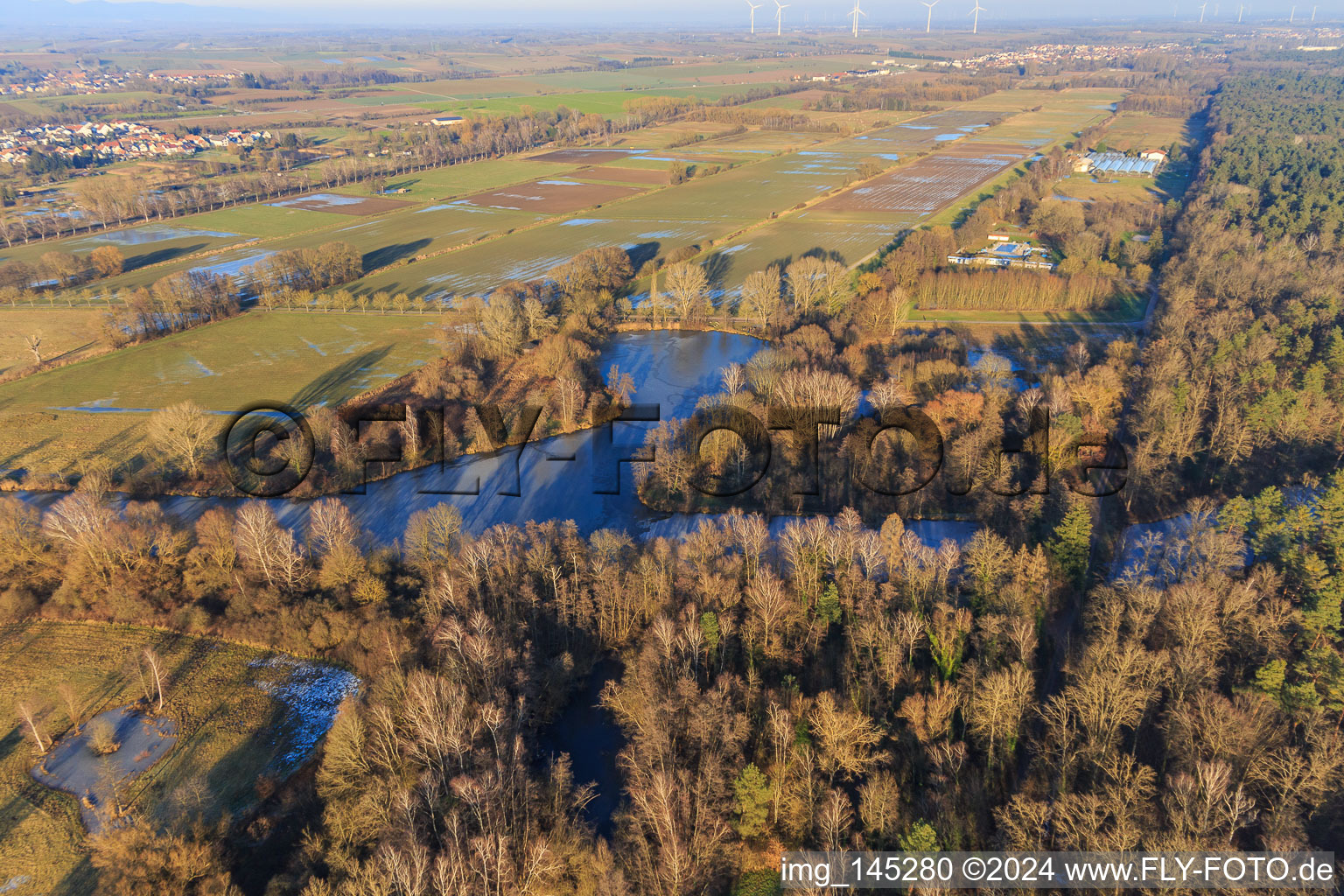 Aerial view of Frozen fish ponds on the edge of the Bienwald in Steinfeld in the state Rhineland-Palatinate, Germany