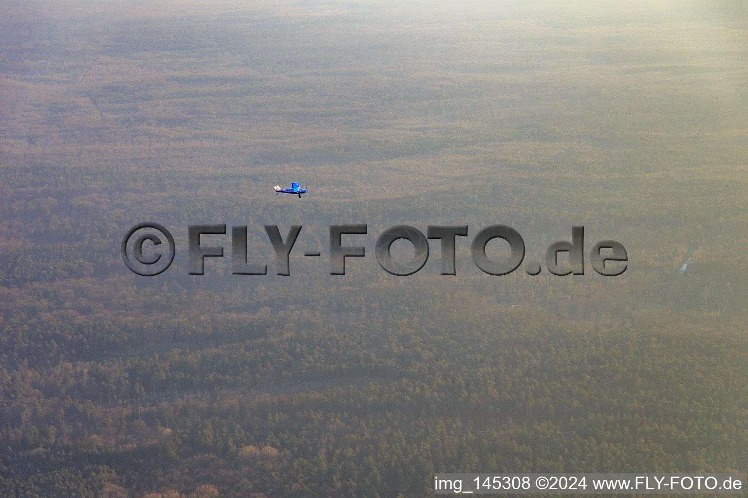 Sports aircraft D-MFFA over the Bienwald in the district Büchelberg in Wörth am Rhein in the state Rhineland-Palatinate, Germany