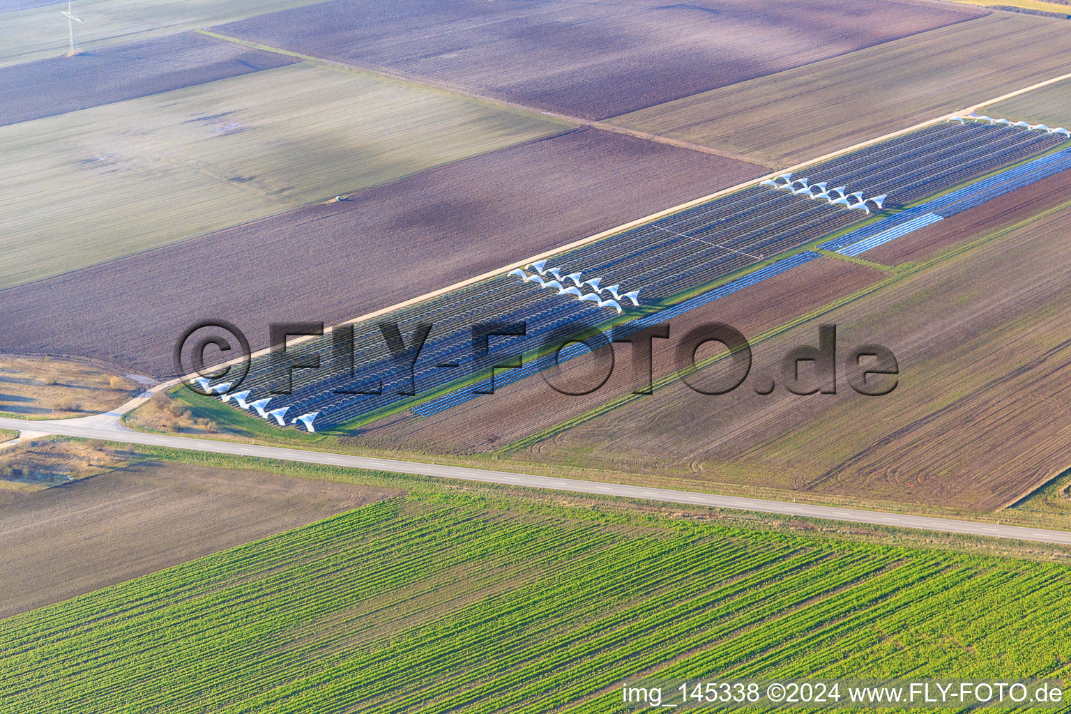 Open polytunnel greenhouses in Offenbach an der Queich in the state Rhineland-Palatinate, Germany