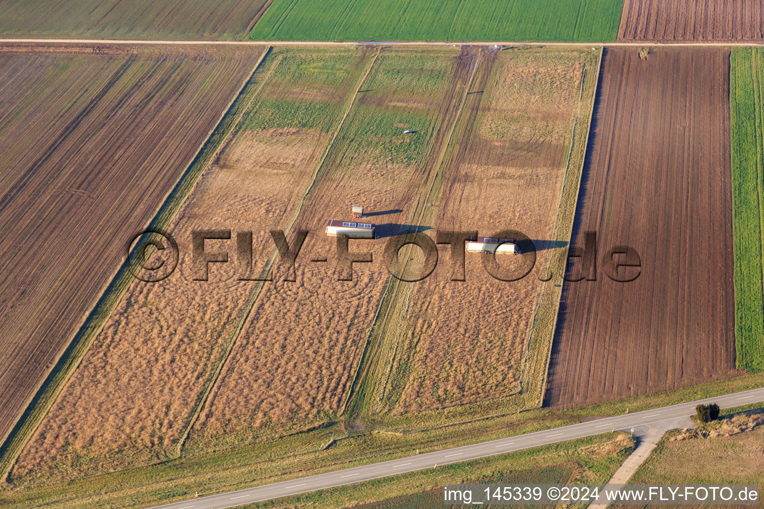 Mobile chicken coops in Offenbach an der Queich in the state Rhineland-Palatinate, Germany