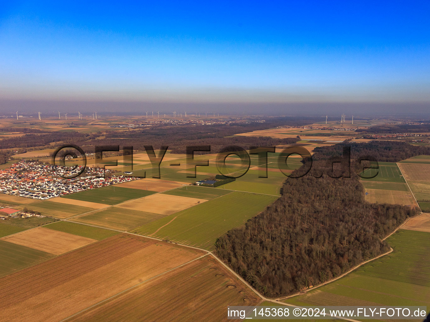 View of the town from the west in Steinweiler in the state Rhineland-Palatinate, Germany