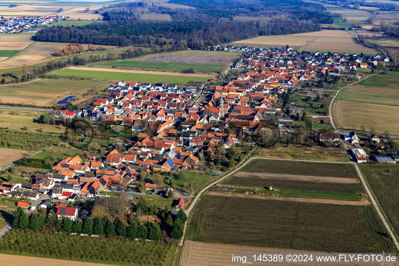Village view from the west in Erlenbach bei Kandel in the state Rhineland-Palatinate, Germany