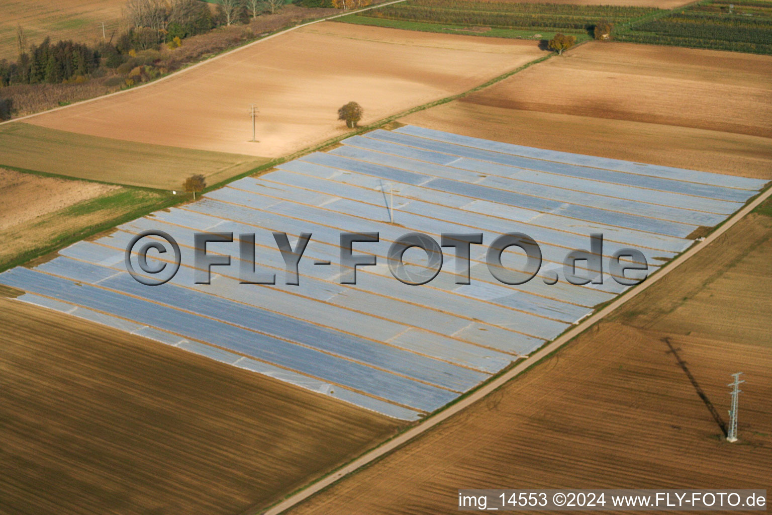 Aerial view of Niederhochstadt in Hochstadt in the state Rhineland-Palatinate, Germany