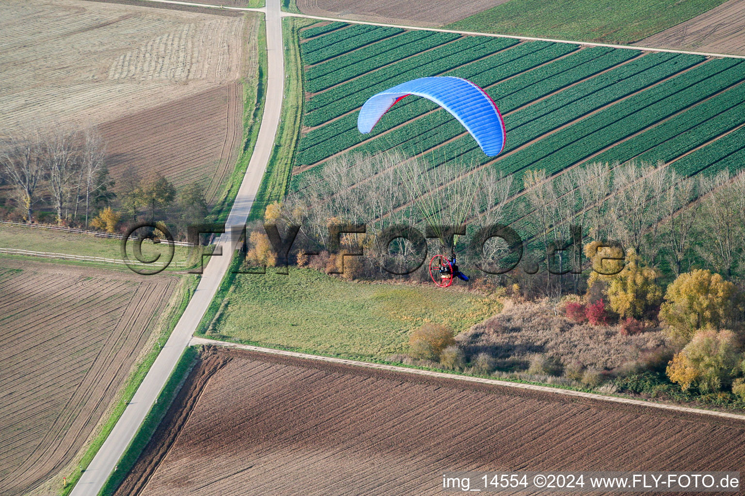 Freimersheim in the state Rhineland-Palatinate, Germany from a drone