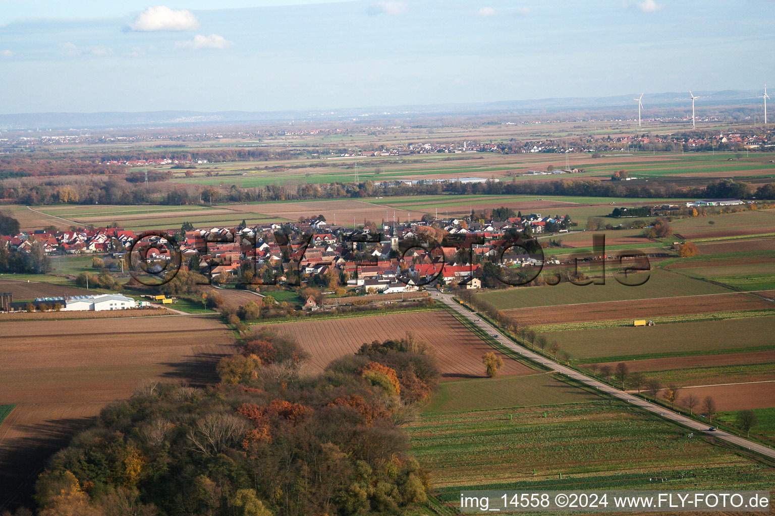 Freimersheim in the state Rhineland-Palatinate, Germany seen from a drone