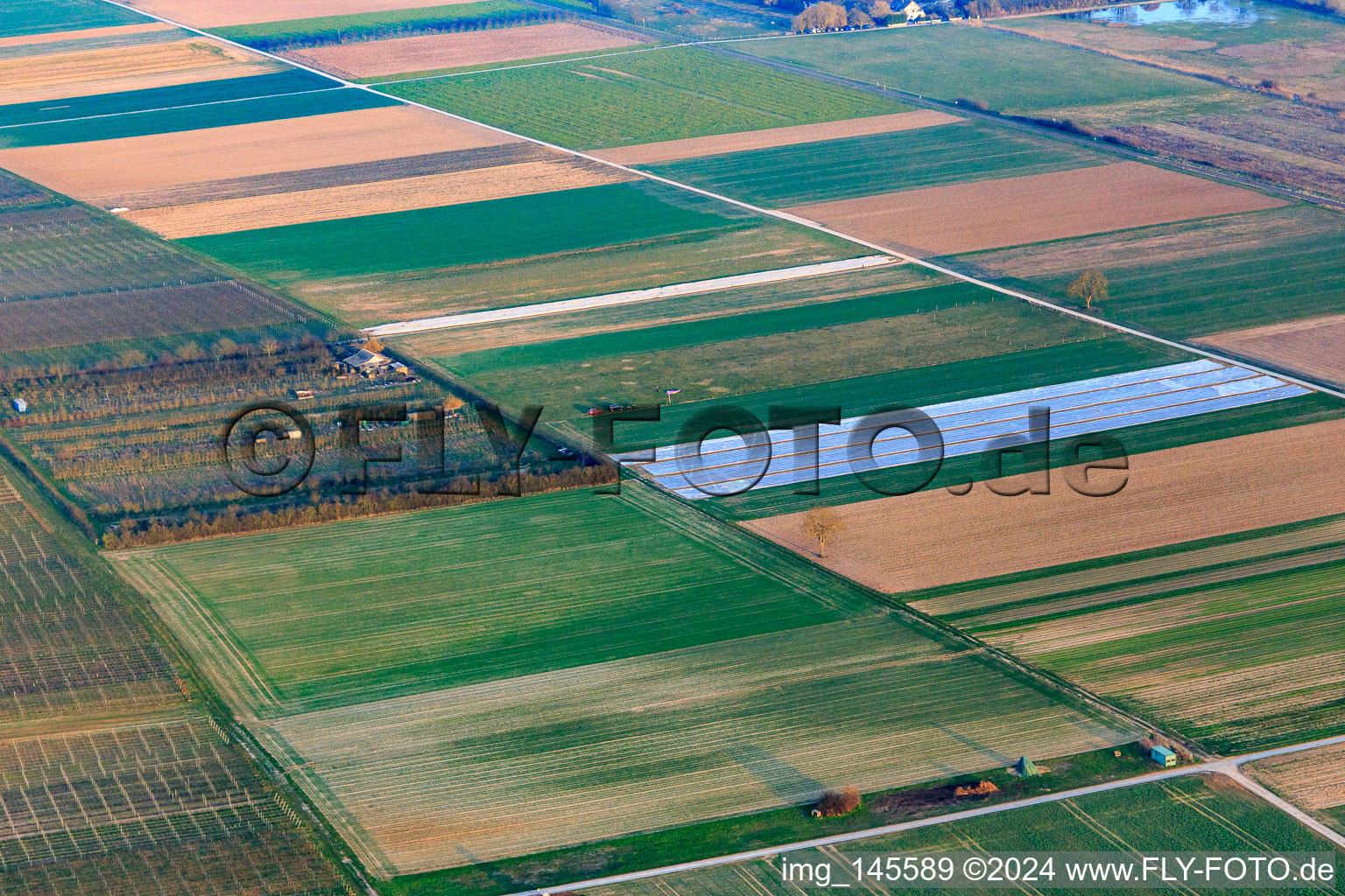 Eier-Meyer Plantation in the district Mühlhofen in Billigheim-Ingenheim in the state Rhineland-Palatinate, Germany
