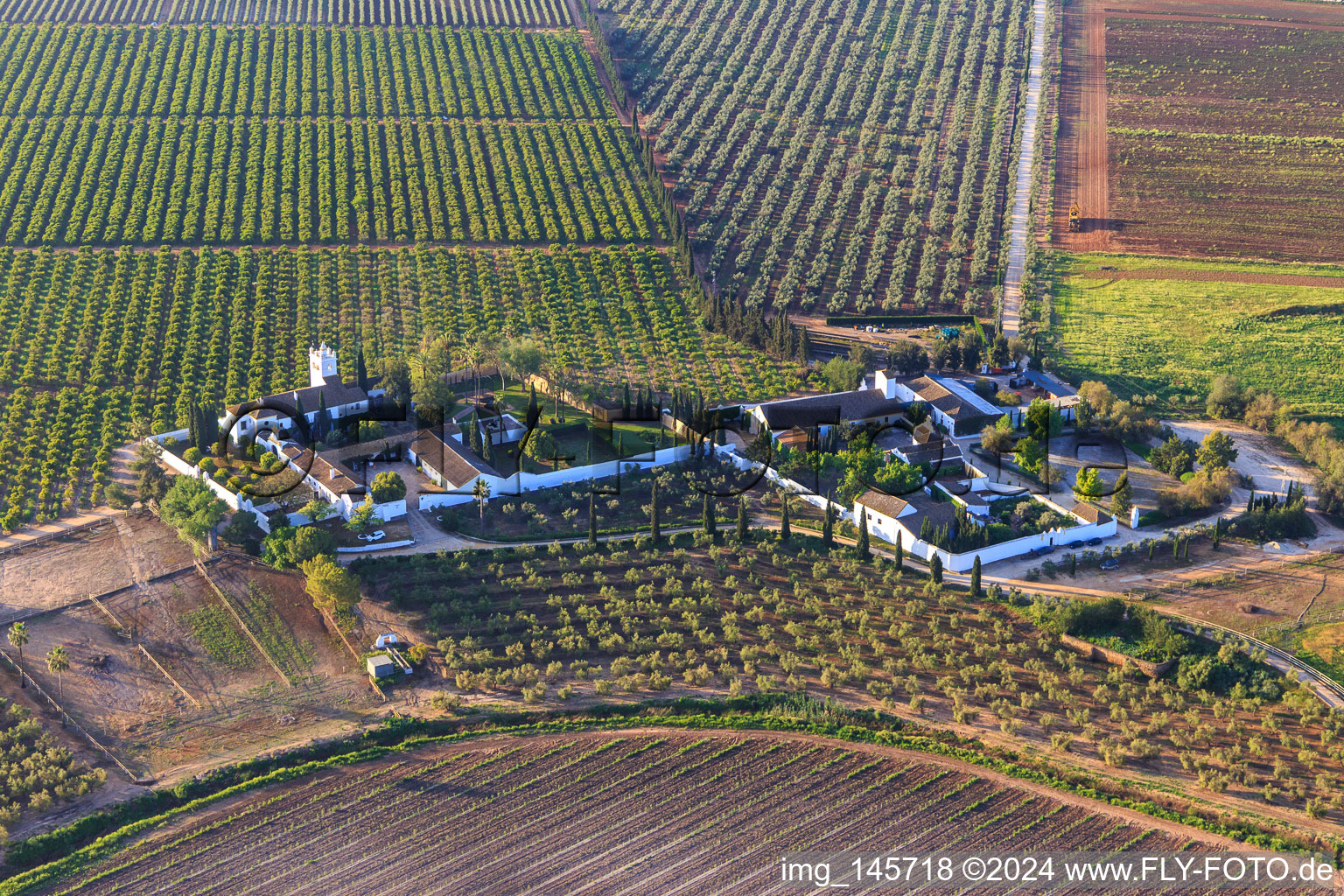 Hacienda de Clarevot between olive tree plantations in Alcalá de Guadaíra in the state Seville, Spain