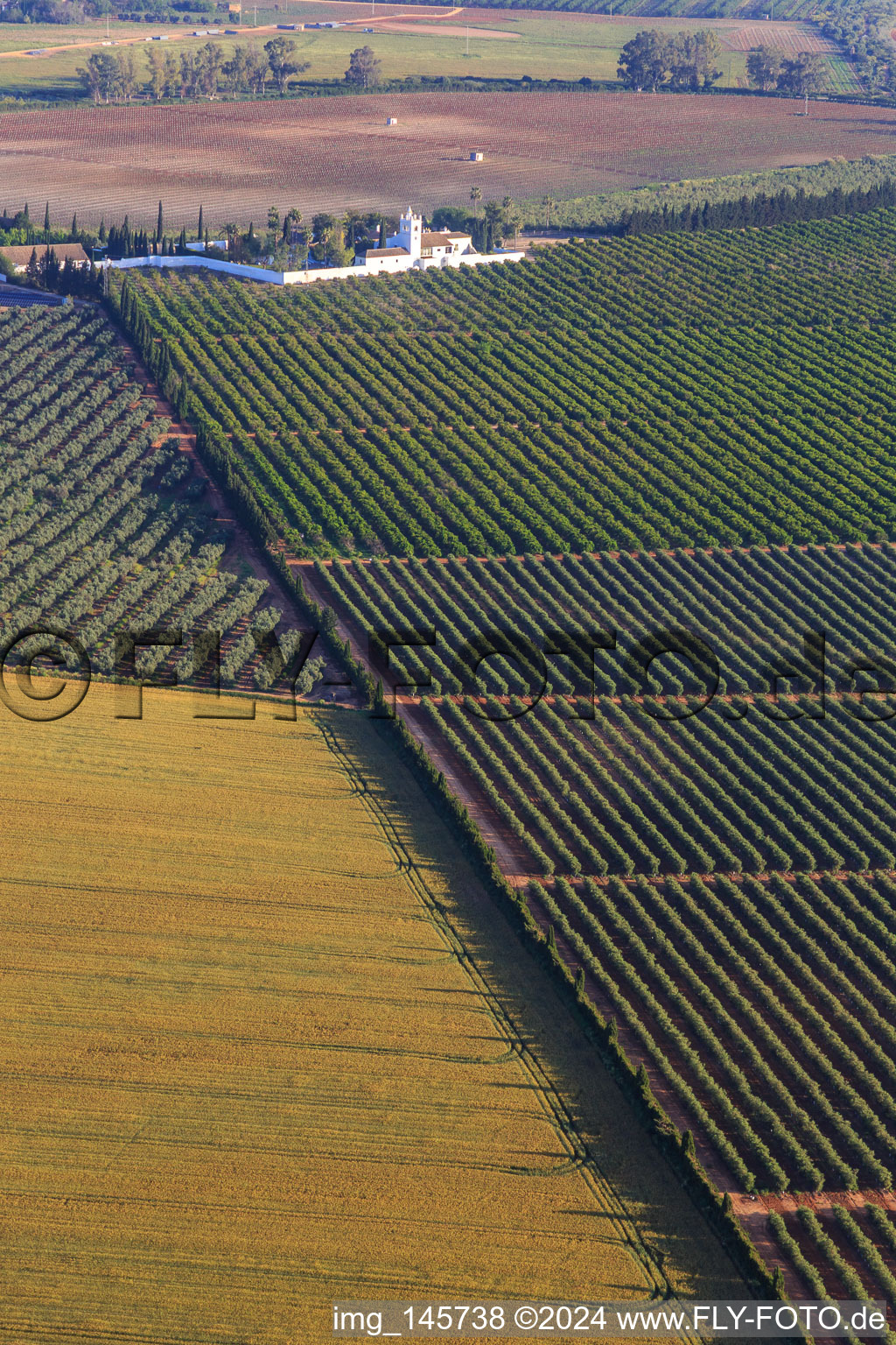 Hacienda de Clarevot between olive tree plantations in the district El Acebuchal in Alcalá de Guadaíra in the state Seville, Spain
