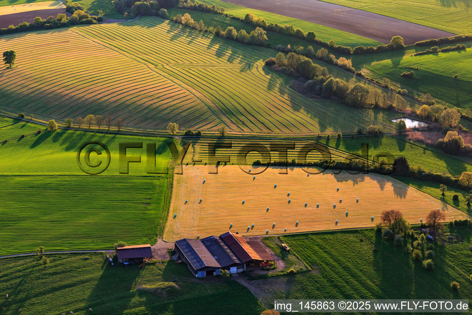 Mowed meadows with hay bales at a farm in Rexingen in the state Bas-Rhin, France